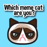 Which meme cat are you