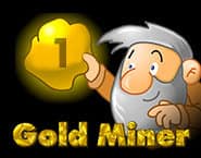 Gold Miner