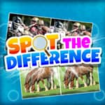 Spot The 3 Difference