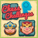 Chess Challenges