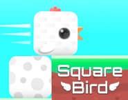 Square Bird